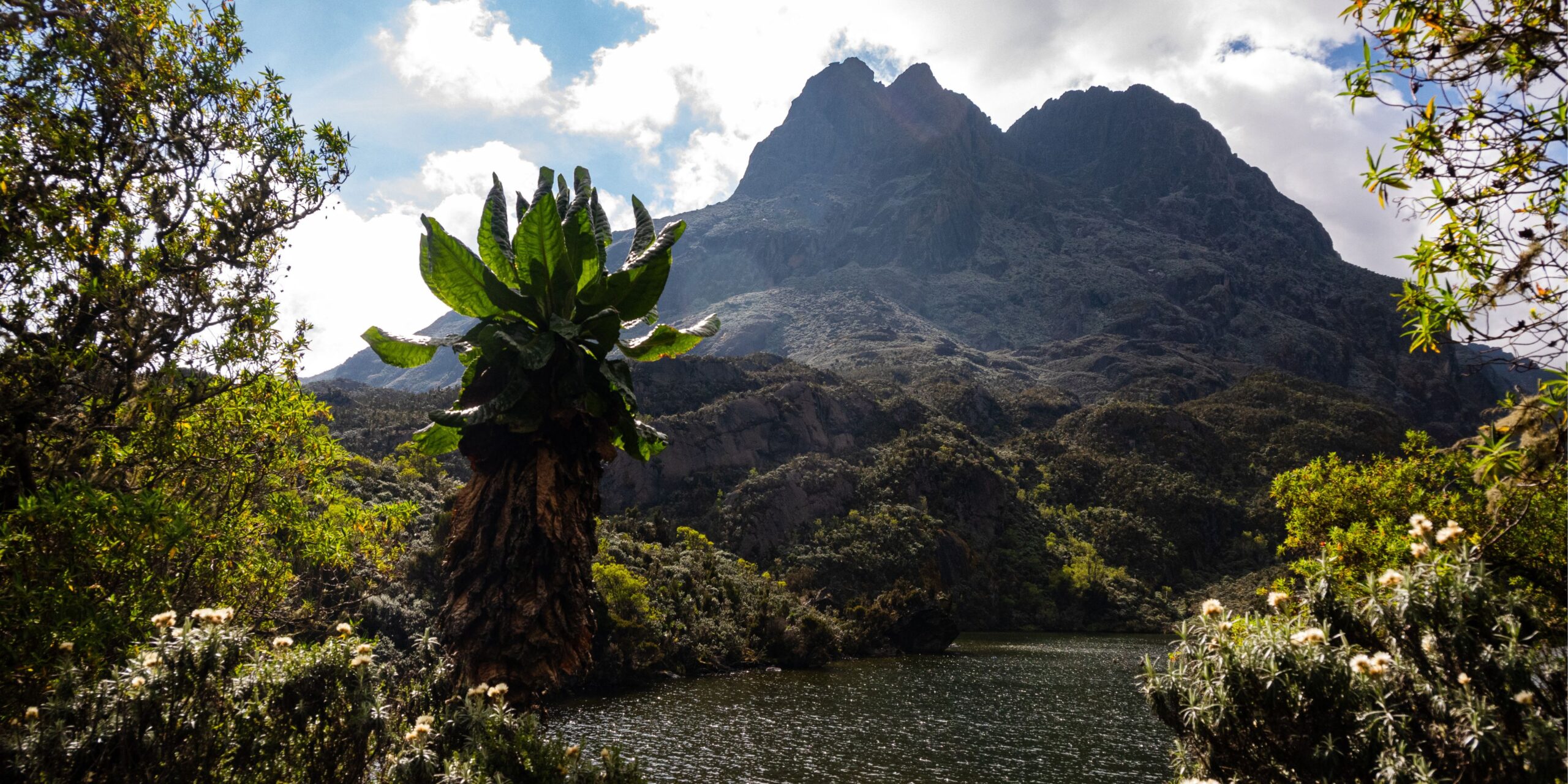 "চাঁদের পাহাড় উপন্যাসের পটভূমি" (Background of the novel Chander Pahar)
"বিভূতিভূষণ বন্দ্যোপাধ্যায় শঙ্কর চরিত্র" (Bibhutibhushan Bandyopadhyay Shankar character)
"জ্যোতিষ্ক বিশ্বাস পর্বত অভিযান" (Jyotishko Biswas mountain expedition)